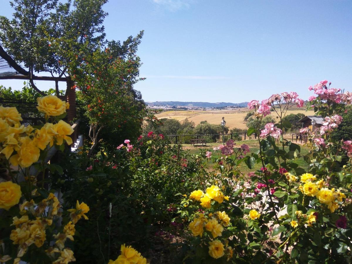 Casa Rural Bellavista Ронда Экстерьер фото