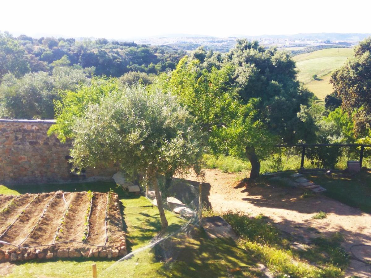 Casa Rural Bellavista Ронда Экстерьер фото