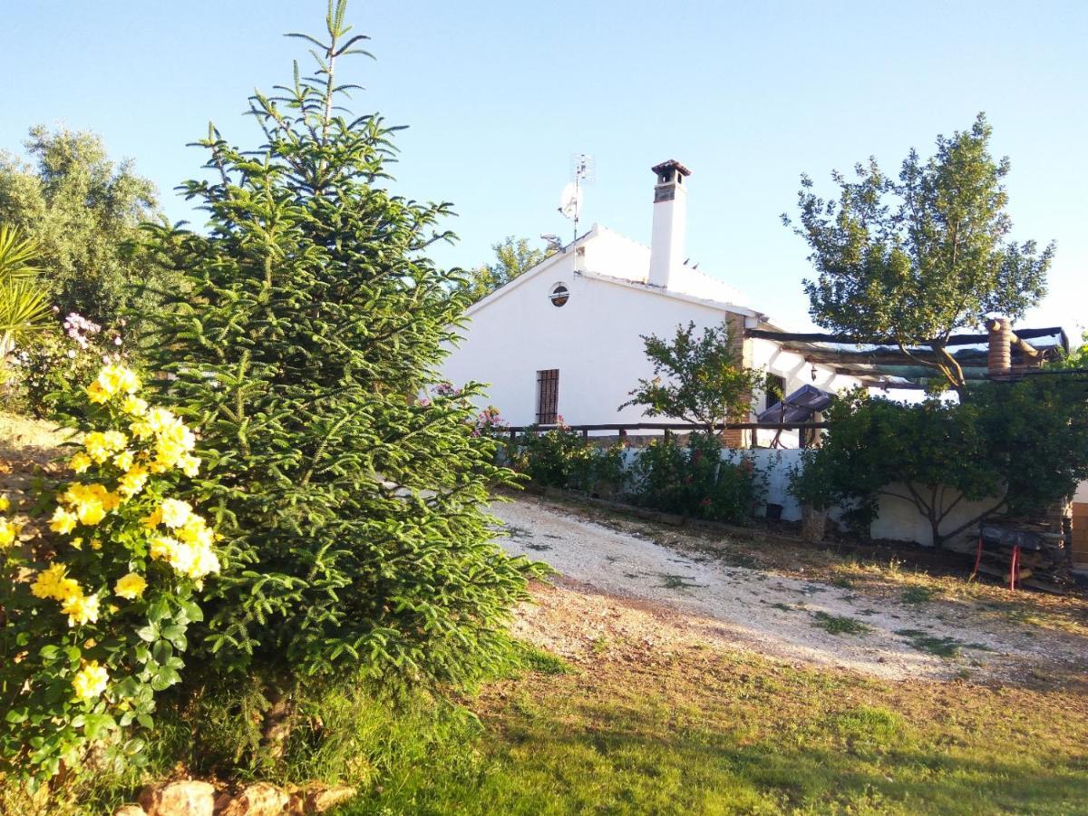 Casa Rural Bellavista Ронда Экстерьер фото